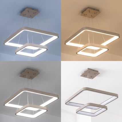 BRILAGI - LED Lustre dimmable sur câble FALCON SLIM LED/78W/230V 3000-6500K 50x50 cm beige + télécommande