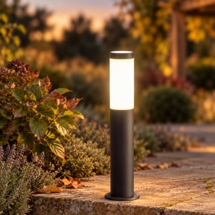 BRILAGI - Lampe extérieure LED dimmable ELIA 1xE27/6W/230V 2700-6500K IP44 Wi-Fi 50 cm anthracite