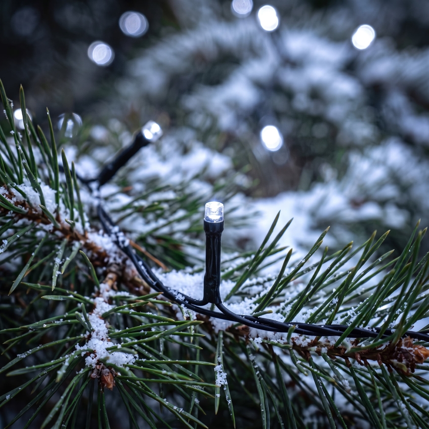 BRILAGI - LED Guirlande de Noël d'extérieur 1000xLED/8 fonctions 105 m IP44 blanc froid