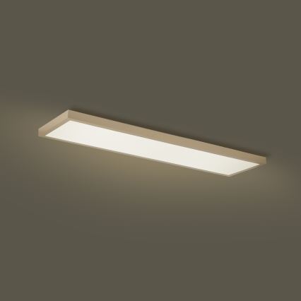 Brilagi - Plafonnier LED dimmable pour salle de bains FRAME SMART LED/50W/230V 120x30 cm 3000-6000K IP44 beige + télécommande