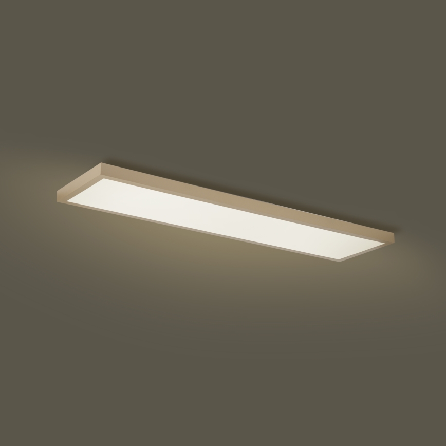 Brilagi - Plafonnier LED dimmable pour salle de bains FRAME SMART LED/50W/230V 120x30 cm 3000-6000K IP44 beige + télécommande