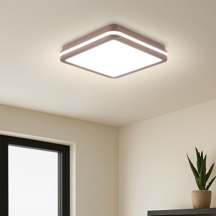 Brilagi - Plafonnier LED d'extérieur avec détecteur BENE LED/24W/230V 26x26 cm marron IP54