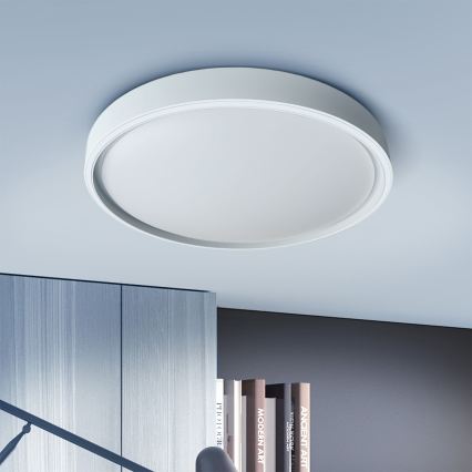 Brilagi - Plafonnier LED dimmable NANCI LED/60W/230V 3000-6500K Ø 49 cm argenté + télécommande