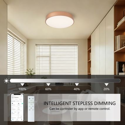 Brilagi - Plafonnier LED dimmable POOL SMART LED/48W/230V 3000-6000K Ø 40 cm Wi-Fi Tuya bronze + télécommande