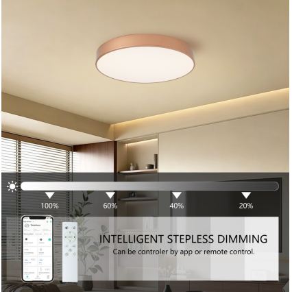 Brilagi - Plafonnier LED dimmable POOL SMART LED/60W/230V 3000-6000K Ø 50 cm Wi‑Fi Tuya bronze + télécommande