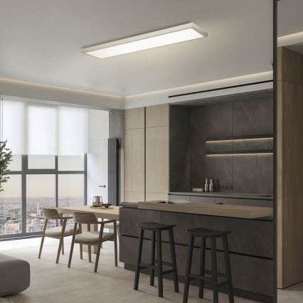 Brilagi - Plafonnier LED dimmable pour salle de bains FRAME SMART LED/50W/230V 120x30 cm 3000-6000K IP44 argenté + télécommande
