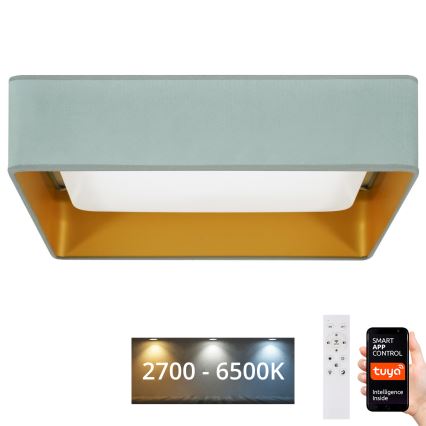 Brilagi - Plafonnier LED dimmable VELVET SQUARE SMART LED/36W/230V 60x60 cm 2700-6500K Wi-Fi Tuya + télécommande menthe