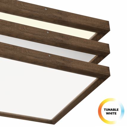 BRILAGI - Plafonnier LED dimmable pour salle de bains WOODY FRAME LED/50W/230V chêne noyer 60x60 cm 3000-6000K IP44 + télécommande