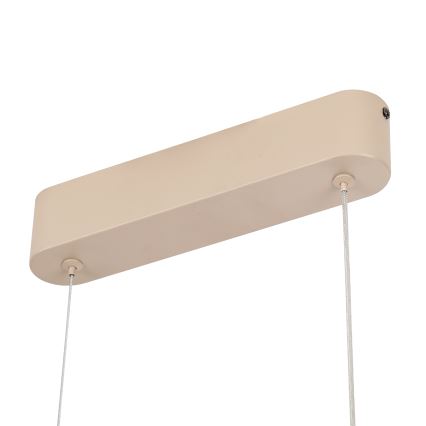Brilagi - Suspension LED dimmable sur câble TWISTER LED/60W/230V 3000-6000K beige + télécommande