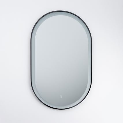 Brilagi - Miroir LED pour salle de bains CANZO LED/25W/230V 50x80 cm noir IP44 IRC 90 dimmable + CCT