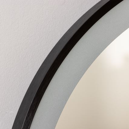 Brilagi - Miroir LED pour salle de bains CANZO LED/25W/230V 50x80 cm noir IP44 IRC 90 dimmable + CCT