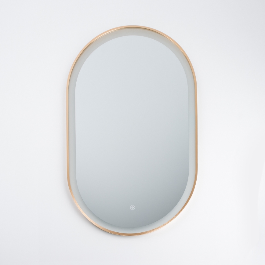 Brilagi - Miroir de salle de bain LED ERBA LED/25W/230V 50x80 cm doré IP44 IRC 90 dimmable + CCT