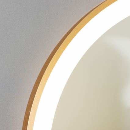 Brilagi - Miroir de salle de bain LED ERBA LED/25W/230V 50x80 cm doré IP44 IRC 90 dimmable + CCT