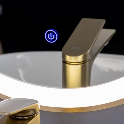 Brilagi - Miroir de salle de bain LED ERBA LED/25W/230V 50x80 cm doré IP44 IRC 90 dimmable + CCT
