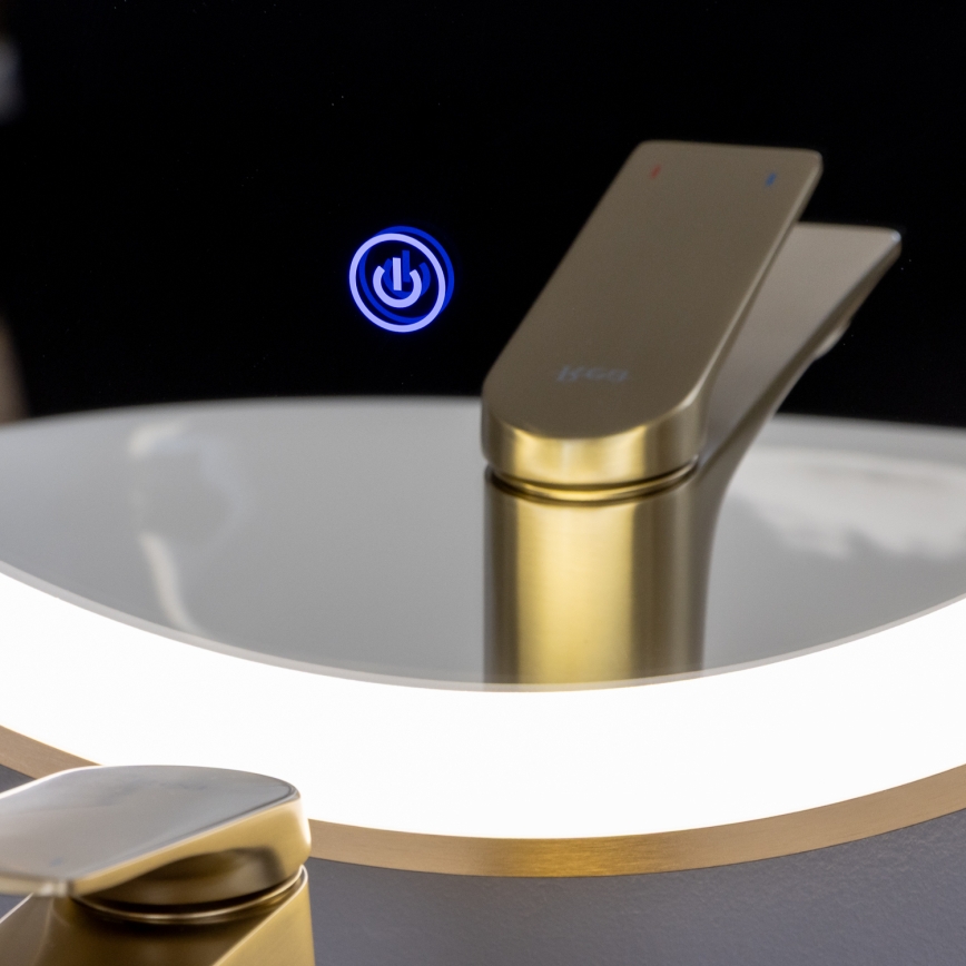 Brilagi - Miroir de salle de bain LED ERBA LED/25W/230V 50x80 cm doré IP44 IRC 90 dimmable + CCT