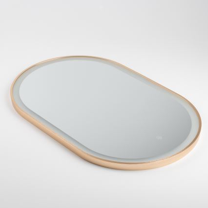 Brilagi - Miroir de salle de bain LED ERBA LED/25W/230V 50x80 cm doré IP44 IRC 90 dimmable + CCT