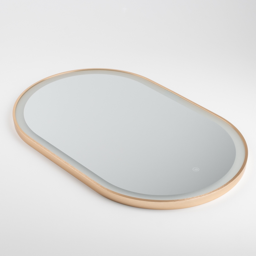 Brilagi - Miroir de salle de bain LED ERBA LED/25W/230V 50x80 cm doré IP44 IRC 90 dimmable + CCT
