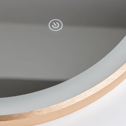 Brilagi - Miroir de salle de bain LED ERBA LED/25W/230V 50x80 cm doré IP44 IRC 90 dimmable + CCT