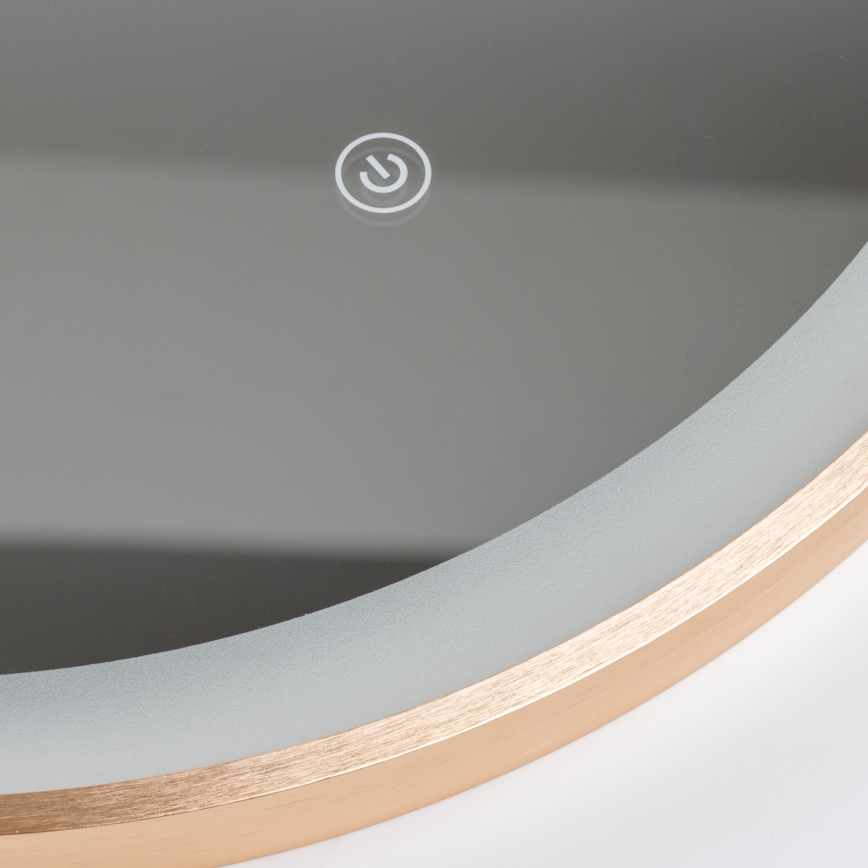 Brilagi - Miroir de salle de bain LED ERBA LED/25W/230V 50x80 cm doré IP44 IRC 90 dimmable + CCT