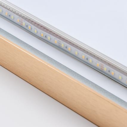 Brilagi - Miroir de salle de bain LED ERBA LED/25W/230V 50x80 cm doré IP44 IRC 90 dimmable + CCT