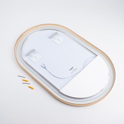 Brilagi - Miroir de salle de bain LED ERBA LED/25W/230V 50x80 cm doré IP44 IRC 90 dimmable + CCT