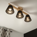 Brilagi - LED  Plafonnier ANTHONY 3xE14/40W/230V chêne/noir