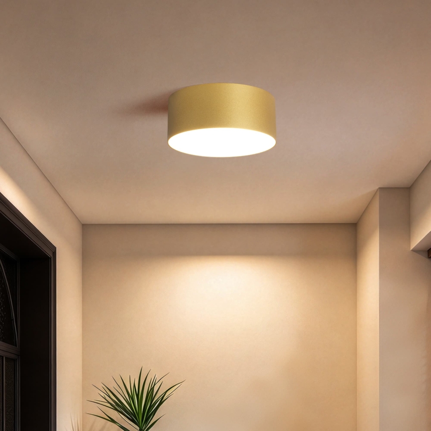 BRILAGI - Plafonnier LED pour salle de bains FORIS LED/20W/230V Ø 15 cm doré IP44