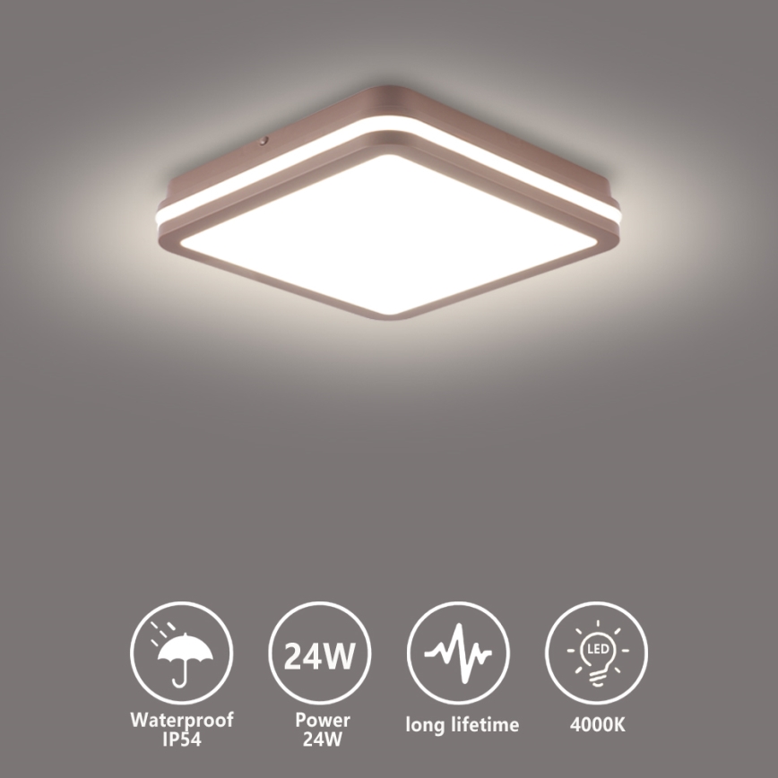 Brilagi - Plafonnier d'extérieur LED BENE LED/24W/230V 26x26 cm marron IP54