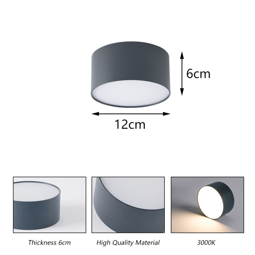 BRILAGI - Plafonnier d'extérieur LED FORIS LED/14W/230V Ø 12 cm anthracite IP44