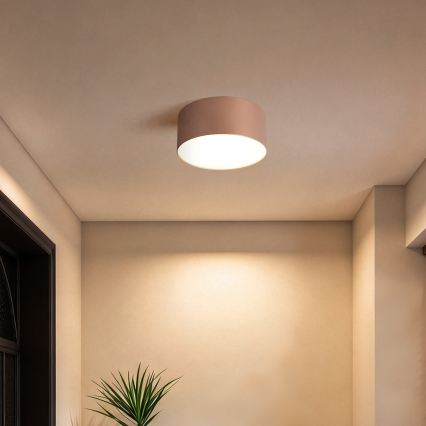 BRILAGI - Plafonnier LED d'extérieur FORIS LED/14W/230V Ø 12 cm bronze IP44