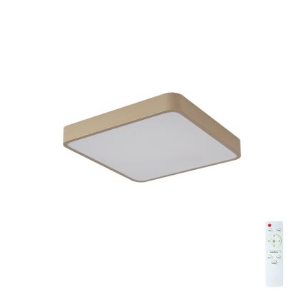 Brilagi - Plafonnier LED dimmable POOL LED/36W/230V 3000-6000K 40x40 cm beige + télécommande