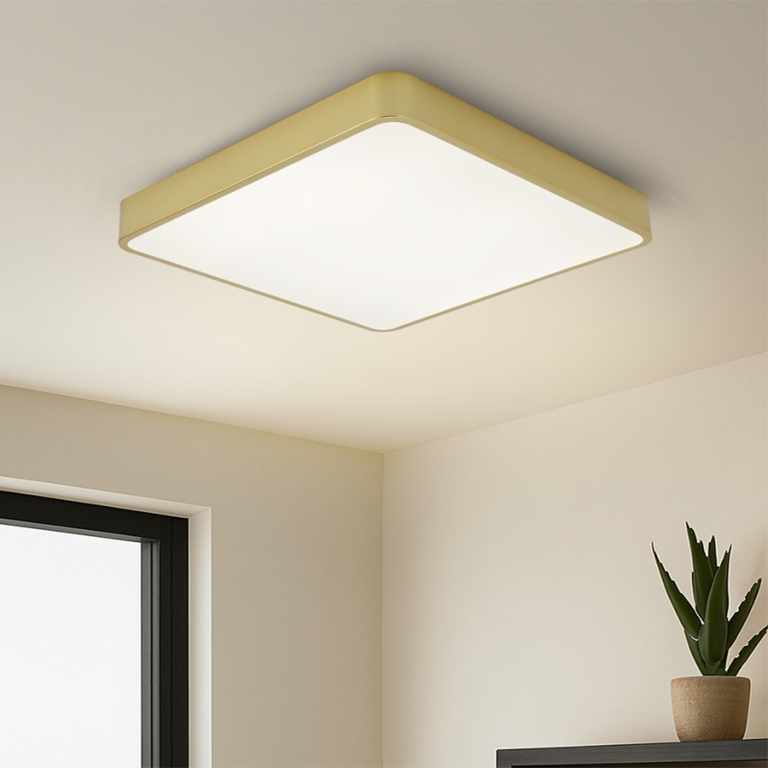 BRILAGI - Plafonnier LED dimmable POOL SQUARE LED/48W/230V 3000-6000K 50x50 cm doré + télécommande