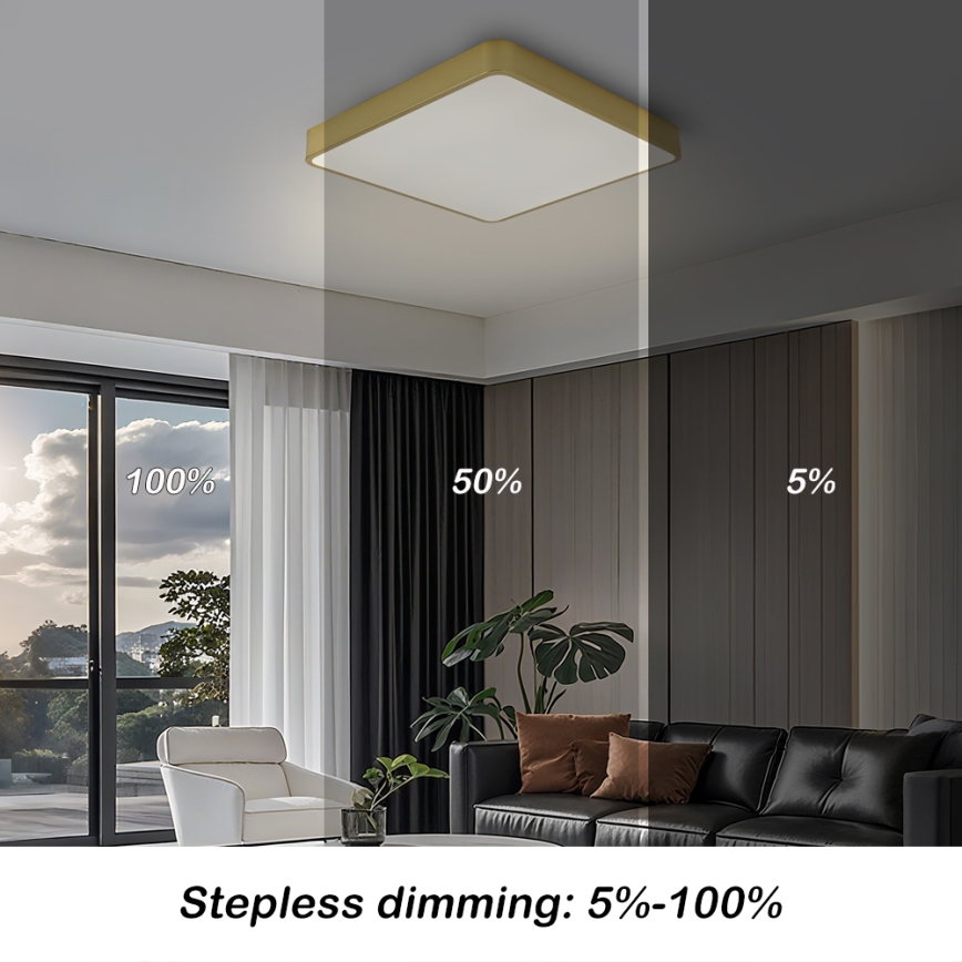 BRILAGI - Plafonnier LED dimmable POOL SQUARE LED/48W/230V 3000-6000K 50x50 cm doré + télécommande