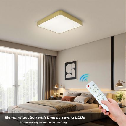 BRILAGI - Plafonnier LED dimmable POOL SQUARE LED/48W/230V 3000-6000K 50x50 cm doré + télécommande
