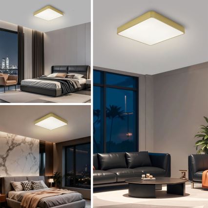 BRILAGI - Plafonnier LED dimmable POOL SQUARE LED/48W/230V 3000-6000K 50x50 cm doré + télécommande