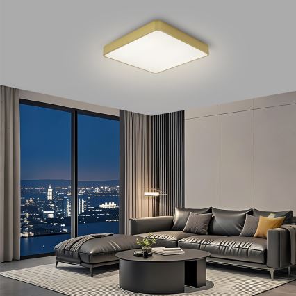 BRILAGI - Plafonnier LED dimmable POOL SQUARE LED/48W/230V 3000-6000K 50x50 cm doré + télécommande