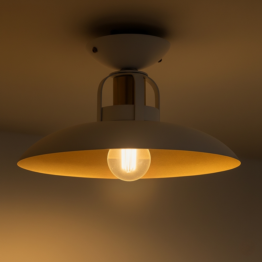 Brilagi - LED Plafonnier FLAMENGO 1xE27/60W/230V blanc