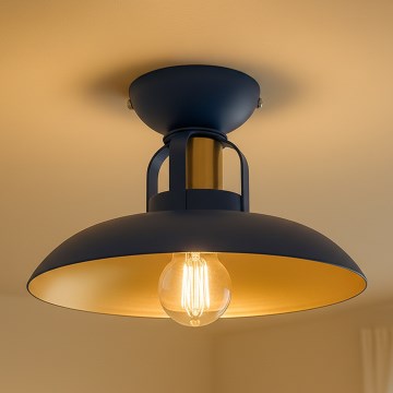 Brilagi - LED Plafonnier FLAMENGO 1xE27/60W/230V bleu