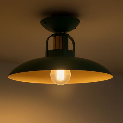 Brilagi - LED Plafonnier FLAMENGO 1xE27/60W/230V vert