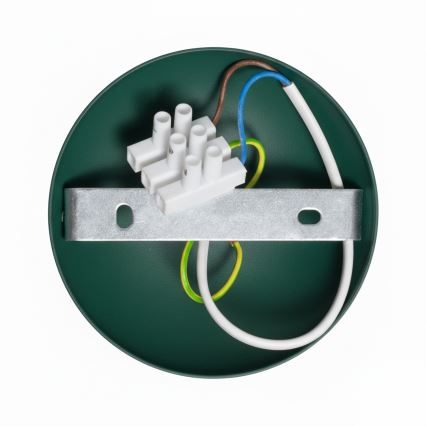 Brilagi - LED Plafonnier FLAMENGO 1xE27/60W/230V vert