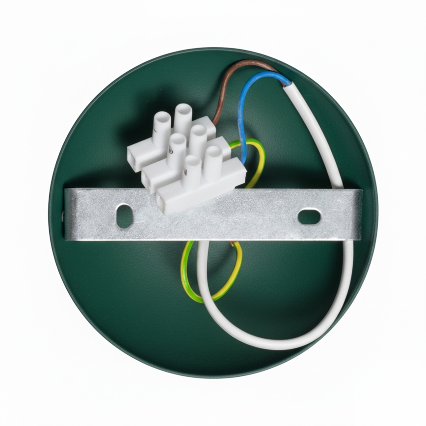 Brilagi - LED Plafonnier FLAMENGO 1xE27/60W/230V vert