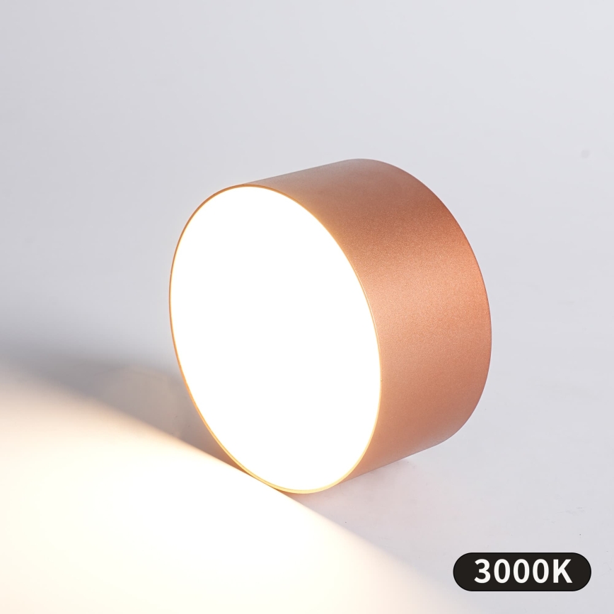 BRILAGI - LED Plafonnier pour salle de bains FORIS LED/14W/230V Ø 12 cm bronze IP44