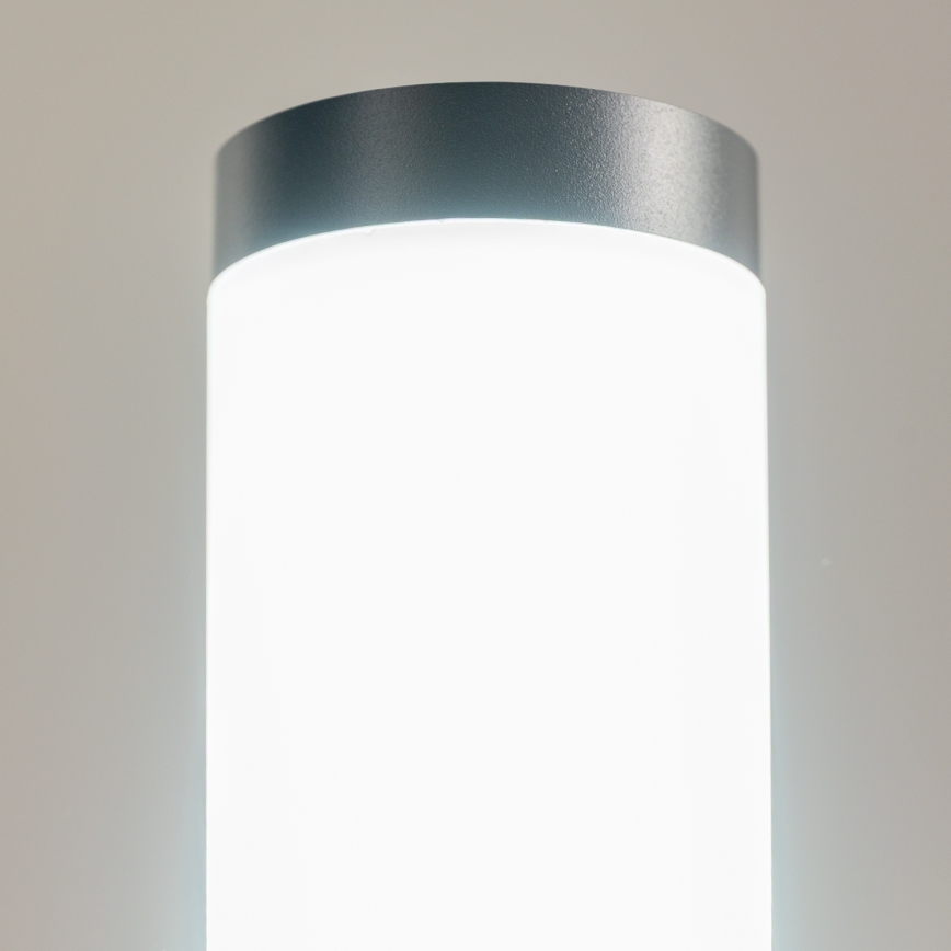 BRILAGI - ELIA Lampe d'extérieur LED RGBW dimmable 1xE27 / 6,5 W / 230 V 2700–6500 K IP44 Wi-Fi 50 cm anthracite