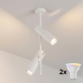 Brilagi - LED RGBW Luminaire dimmable sur tige BRANCH 2xGU10/6,5W/230V 2700-6500K blanc