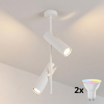 Brilagi - LED RGBW Luminaire dimmable sur tige BRANCH 2xGU10/6,5W/230V 2700-6500K blanc