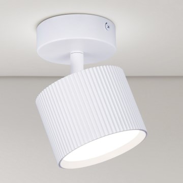 Brilagi - LED Spot d'éclairage STRIPY 1xGX53/15W/230V blanc