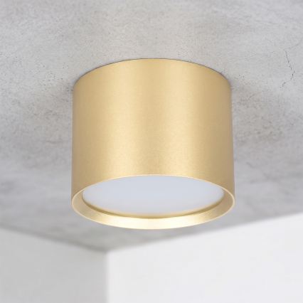 BRILAGI - Spot LED pour salle de bains SMOOTH 1xGX53/15W/230V 60x82 mm doré IP54