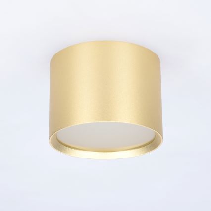 BRILAGI - Spot LED pour salle de bains SMOOTH 1xGX53/15W/230V 60x82 mm doré IP54