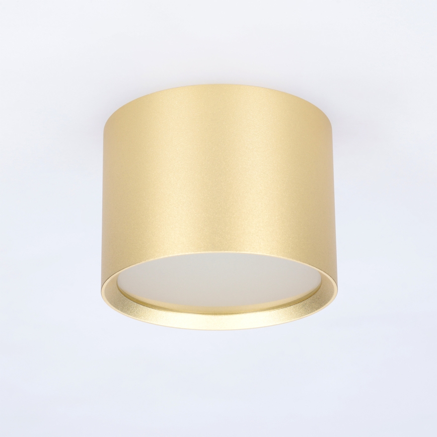 BRILAGI - Spot LED pour salle de bains SMOOTH 1xGX53/15W/230V 60x82 mm doré IP54