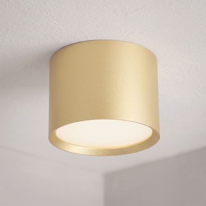 BRILAGI - Spot LED pour salle de bains SMOOTH 1xGX53/15W/230V 60x82 mm doré IP54